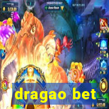 dragao bet